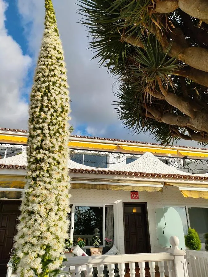 Apartamento Teide & Mar Vistas Tacoronte España